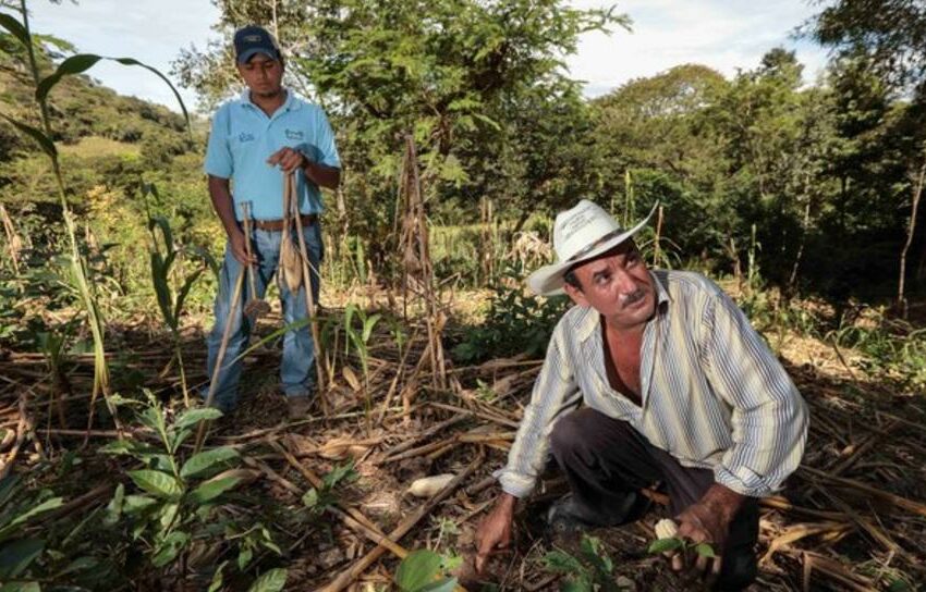  Resalta Sader la importancia de los suelos en la producción de alimentos saludables