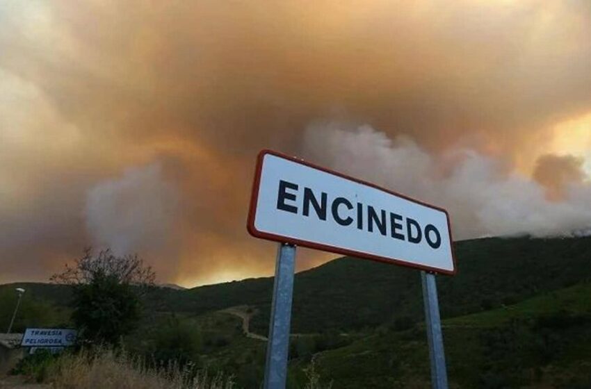  Medio Ambiente forestará 100 hectáreas en Truchas con una inversión de 400.000 euros