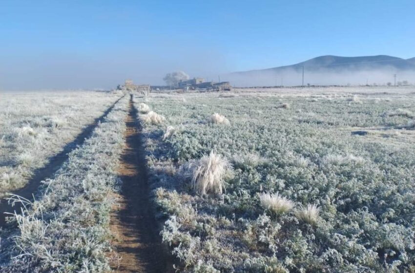  Frente frío 23 ocasionará caída de nieve o aguanieve en estos estados – Amexi