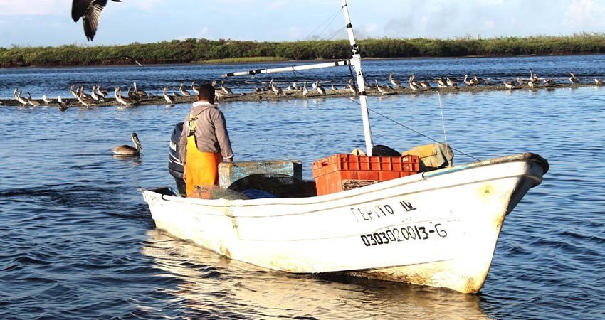  Reporta 80 por ciento de avance el programa de ordenamiento pesquero y acuícola: SEPADA