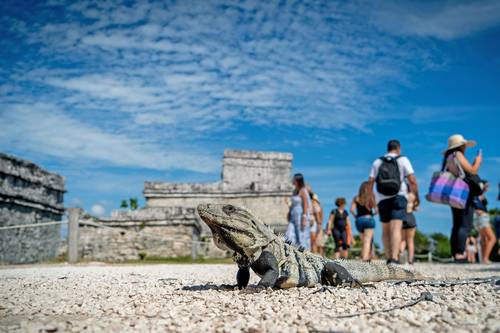  La fauna, elemento infaltable en zonas arqueológicas  de Yucatán