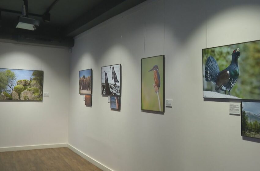  Una exposición fotográfica en Madrid para reflexionar sobre el cuidado del medioambiente