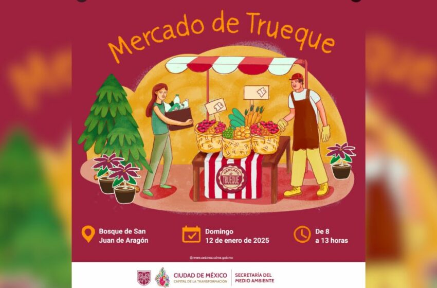  Listo primer Mercado del Trueque 2025; se recibirán árboles de Navidad y plantas de Nochebuena