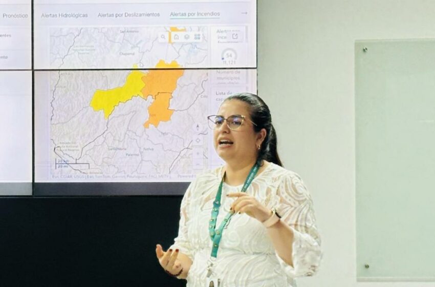  'Hay 200 municipios en alerta roja por incendios de la cobertura vegetal': directora del Ideam