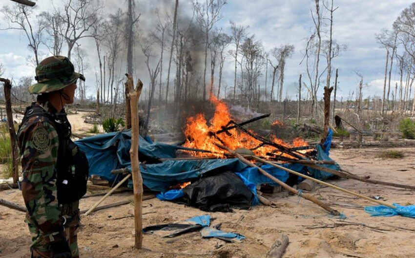  Minería ilegal: destruyen bienes por más de S/ 17 millones y rescatan desplazados