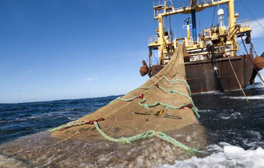  Crecen desde el subsuelo y el mar | Minería y pesca, entre las industrias extractivas que …