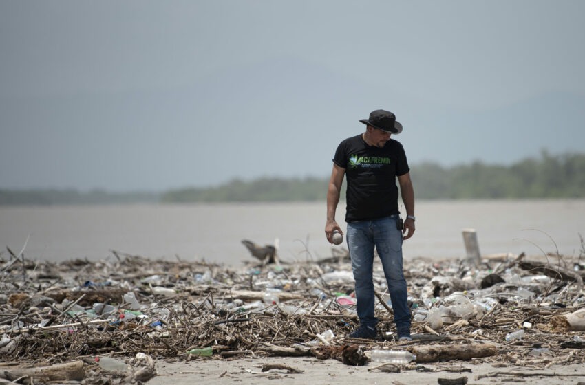  Bukele sigue mutilando el presupuesto a Medio Ambiente – Gato Encerrado