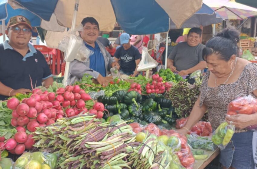  Alzas por el frío: sube el precio del elote, pepino y la calabaza en varios mercados