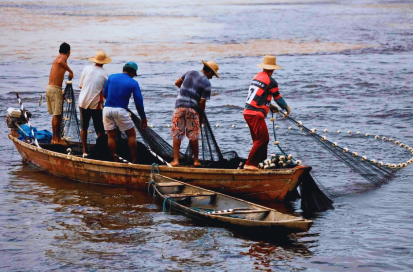  Pescadores de Veracruz enfrentan una cuesta de enero sin pesca ni ingresos