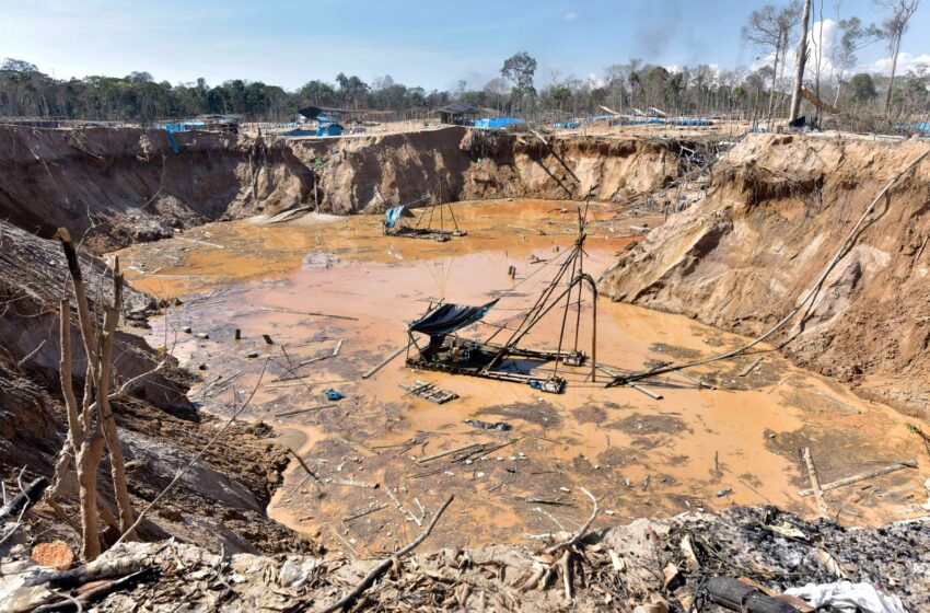  Madre de Dios: Nación Harakbut alerta que minería ilegal avanza sin control – AIDESEP