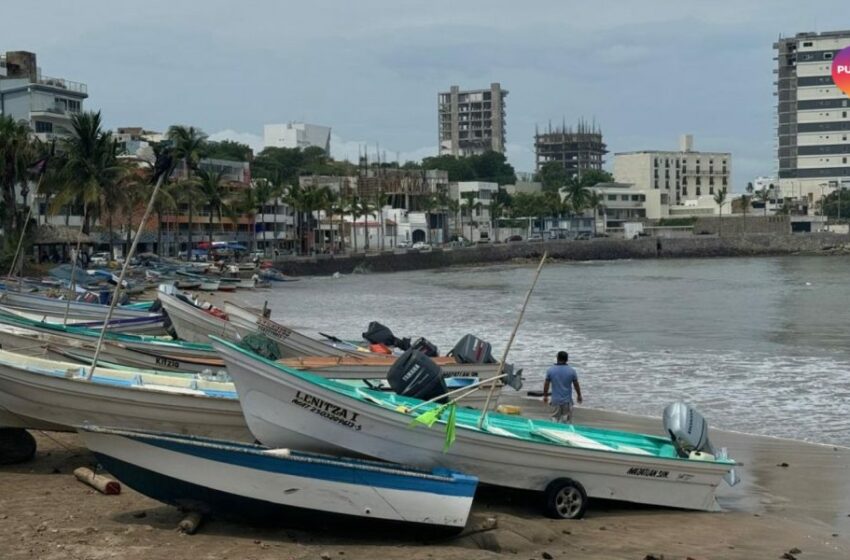  Pescadores enfrentan pérdidas pese a buena temporada de sierra y pargo – Punto MX