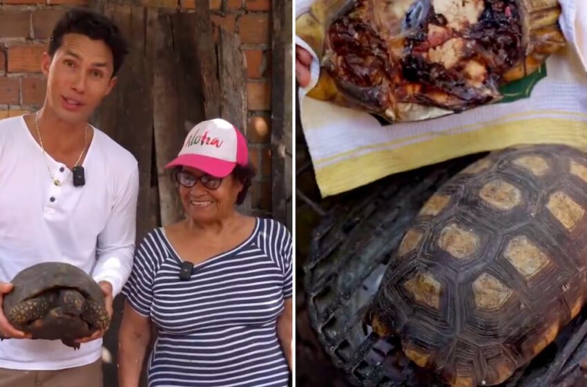  Un famoso chef peruano cocina una especie de tortuga protegida en un vídeo que se vuelve viral