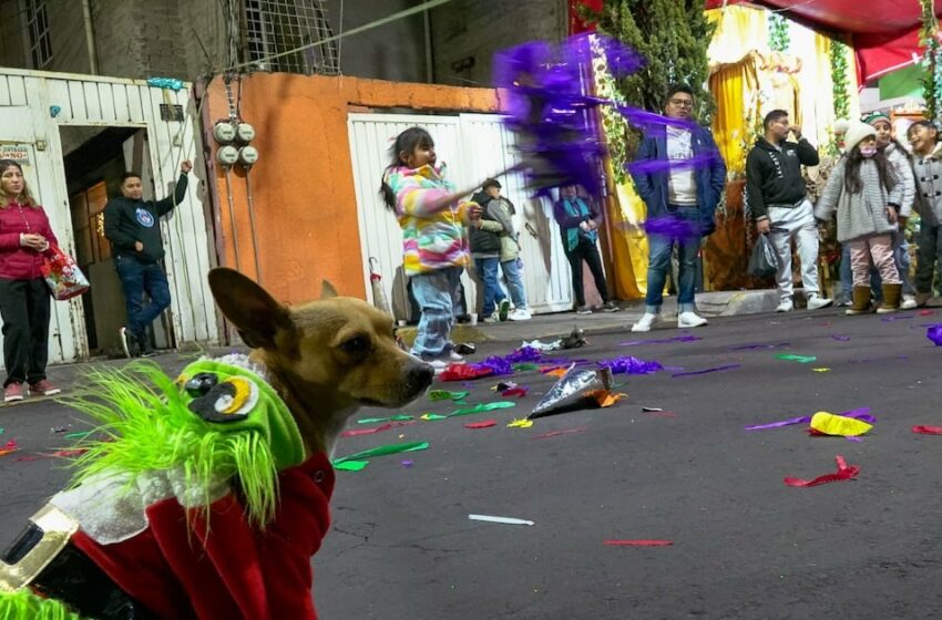  CDMX y zona metropolitana reciben 2025 con mínimas temperaturas – Publimetro