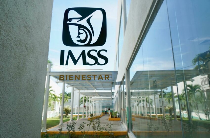  IMSS-Bienestar se fortalece con abasto de insumos médicos: Sheinbaum – Contralínea