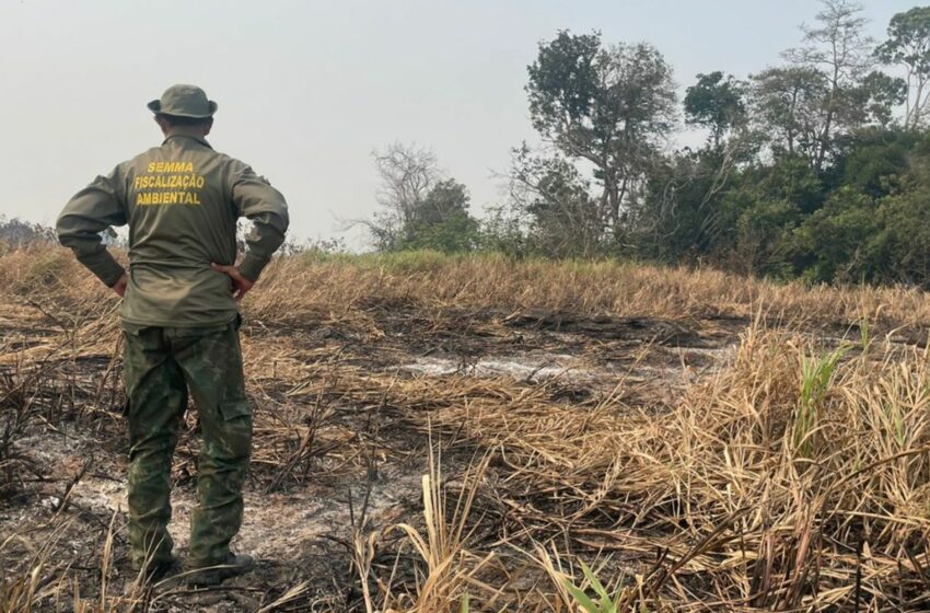  Brasil registra un millón de incendios forestales en 5 años