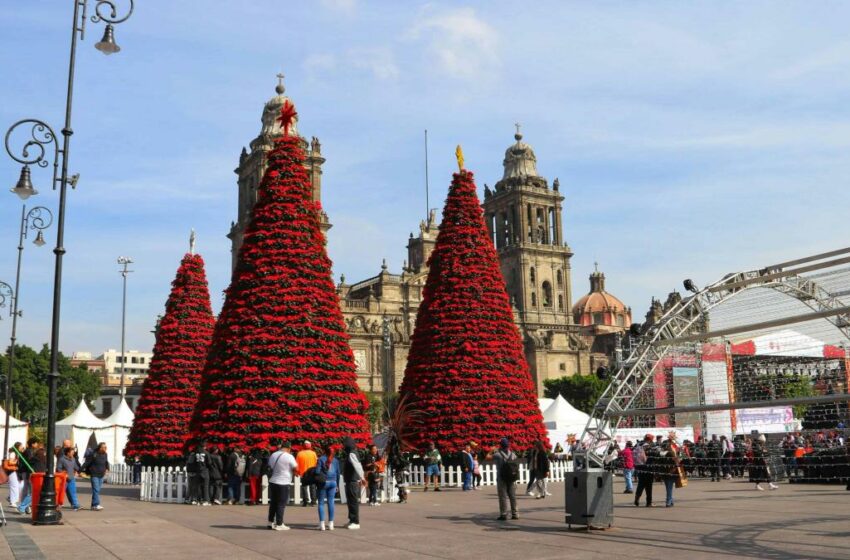  ¡A abrigarse!; se espera un marcado descenso en las temperaturas en gran parte de México