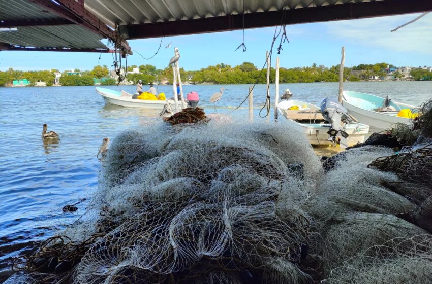  Pescadores de Campeche aseguran que son atacados y arrojados al mar para robarles su lancha