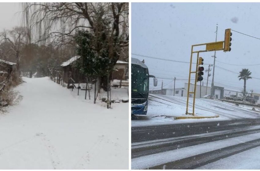  Así recibió Sonora su primera nevada del 2025 | FOTOS y VIDEO – Luz Noticias