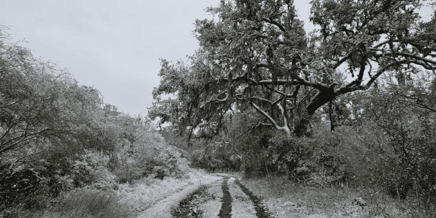  Bajas Temperaturas Cubren de Blanco la Sierra Madre Oriental en Tamaulipas