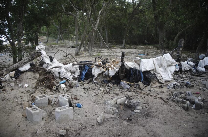  Pesca furtiva de pepino de mar acaba con la biodiversidad en Dzilam de Bravo – PorEsto