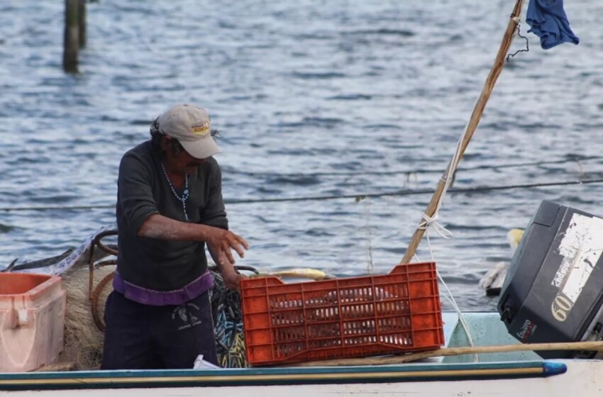  Instituto de Pesca de Campeche se deslinda de la crisis en el sector – PorEsto