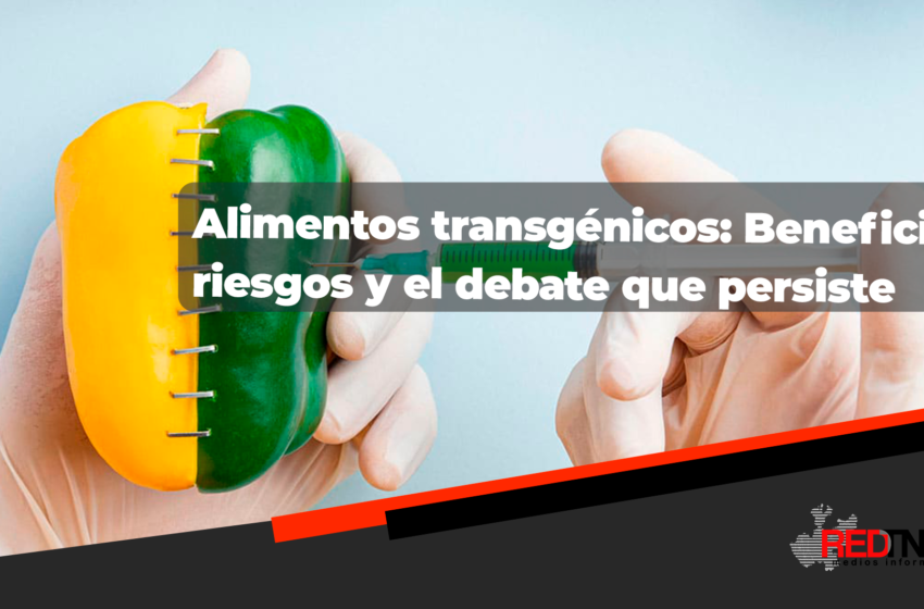  Los Alimentos Transgénicos: Beneficios Y Riesgos Para La Salud Y El Medio Ambiente