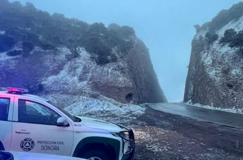  Sonora "bajo cero": tormenta invernal afectará a estos municipios; prevén cierre de carreteras