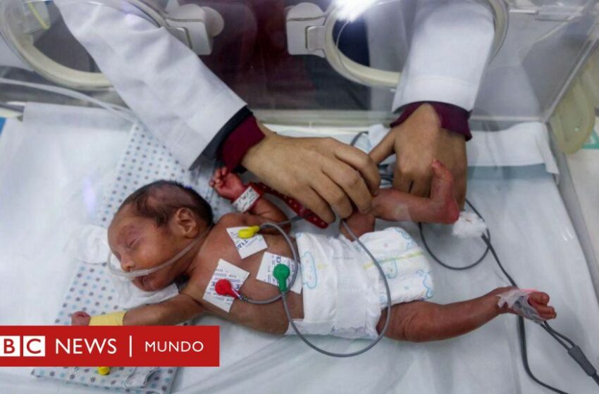  Seis bebés mueren de hipotermia en Gaza por las bajas temperaturas y la falta de refugio