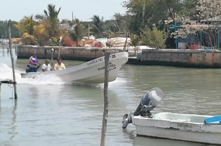  Quiebran 60 cooperativas pesqueras de Ciudad del Carmen – PorEsto!