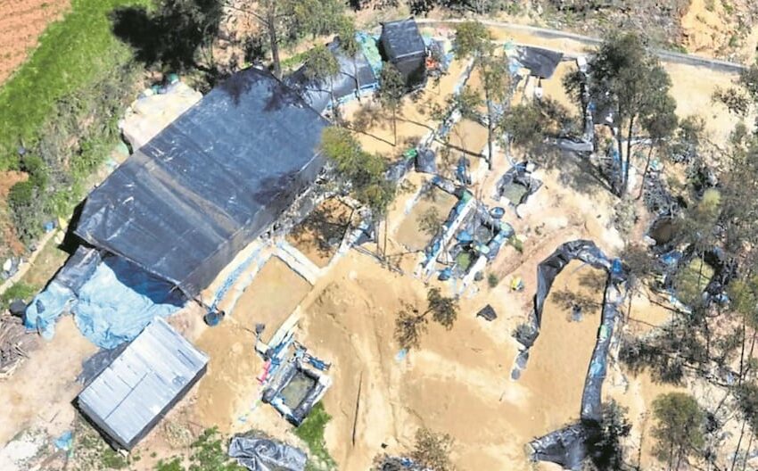  La Libertad: Minería ilegal avanza en bosque de Huamachuco – Diario Correo