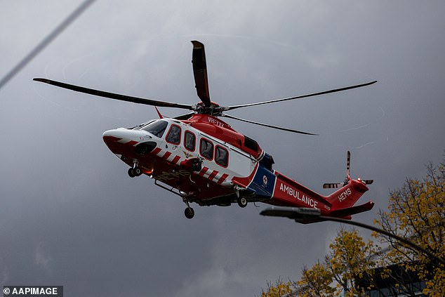  Buscar en marcha el competidor de pesca golpeado por la borda – igeteo.MX