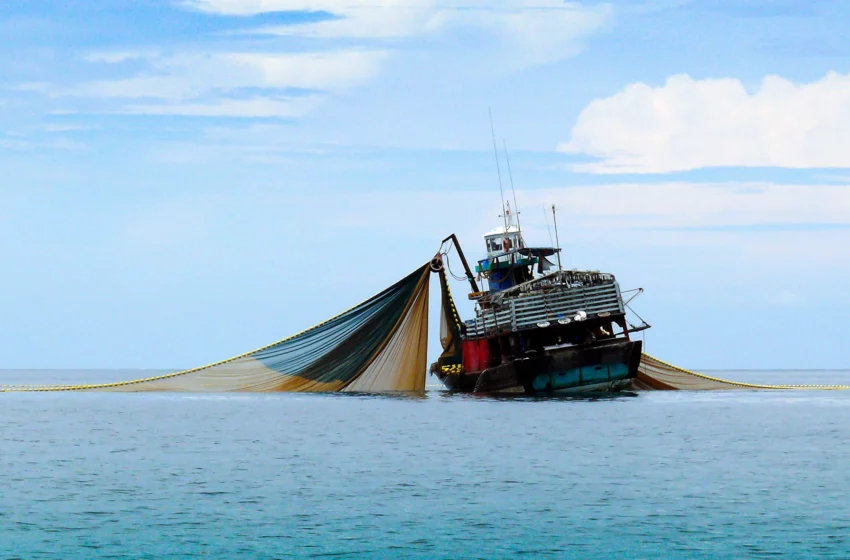  Corte Federal Ratifica las Regulaciones de Pesca de Florida en el Golfo de México