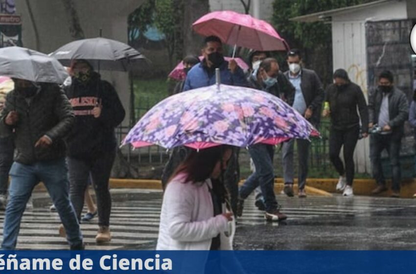  ¡No se van! Frente frío 28 sigue causando lluvias fuertes, mínimas de -15°C y heladas …