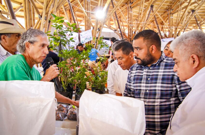  Llega el primer Agrotianguis a Chilpancingo, participan 150 productores – Quadratín Guerrero