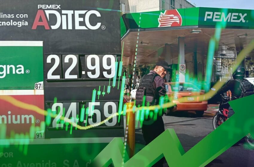  Precio de la gasolina en México: Solo 7 estados cumplen con meta de 24 pesos por litro