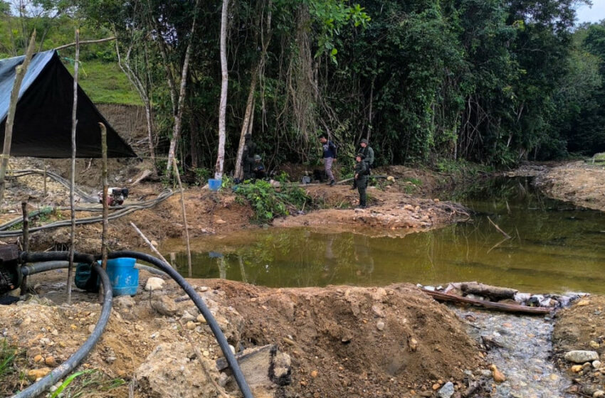  Minería ilegal causa destrozos en bosque de municipio turístico de Caldas – La Patria