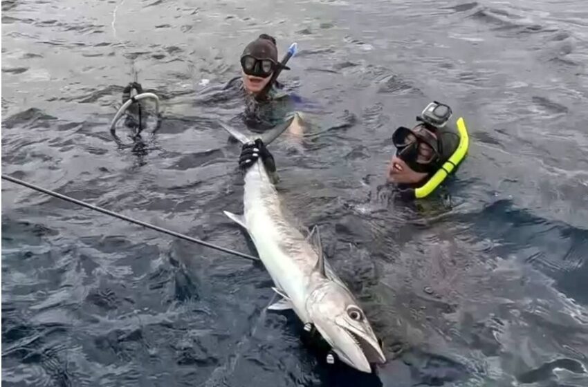  Pescadores de Playa del Carmen, a la Espera de Resolutivo sobre Permisos de Pesca