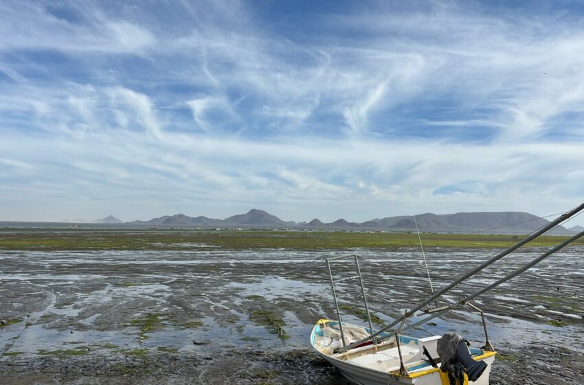  “Nos preocupa el presupuesto para la pesca, pero tenemos esperanza”: Alfonso Chaparro …