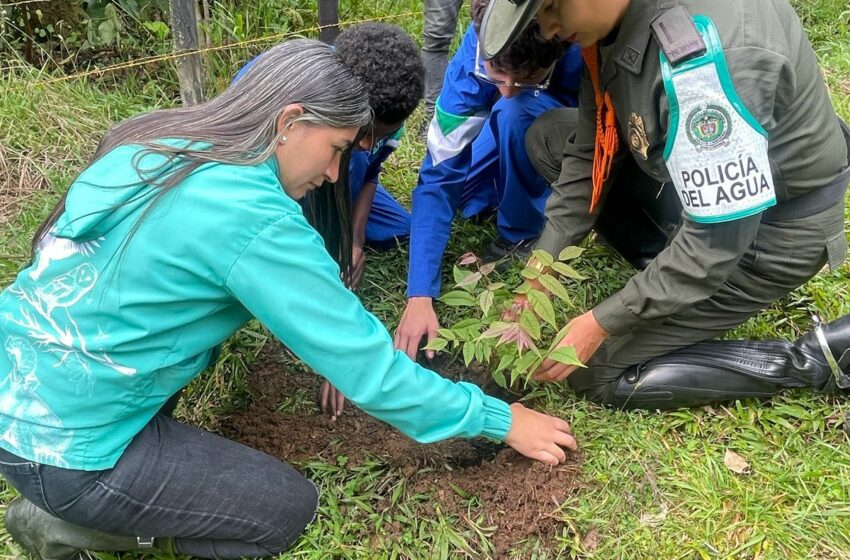  Río Blanco se suma a la conservación ambiental con la siembra de árboles