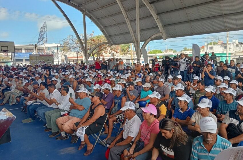  Pescadores de Progreso reciben apoyo económico por veda del mero – Diario de Yucatán