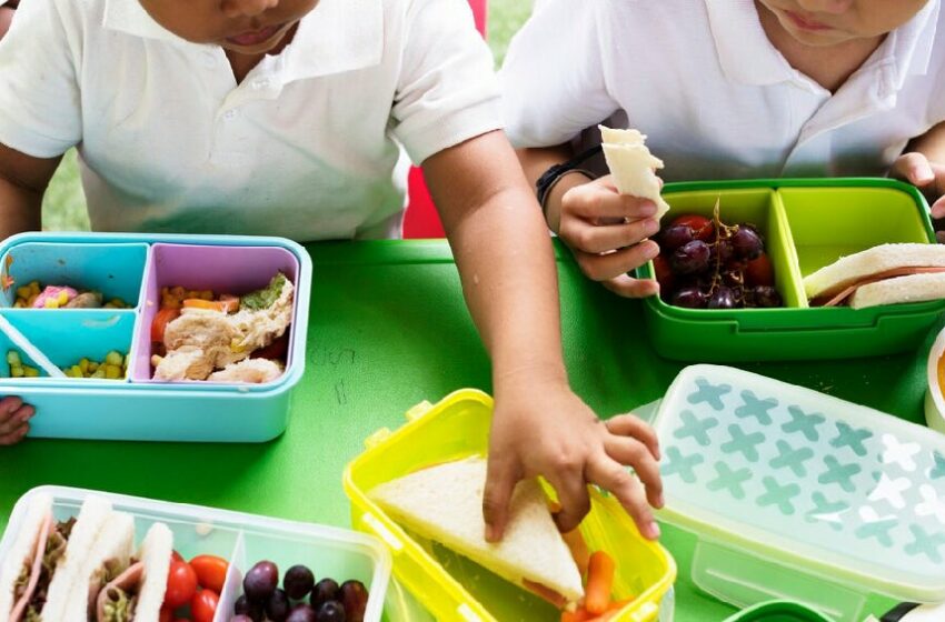  Esta 'comida chatarra' quedará prohibida en las escuelas a partir de marzo de 2025