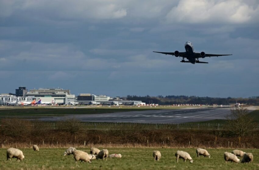  El beneficio de IAG subió un 3% en 2024, aupado por una fuerte demanda