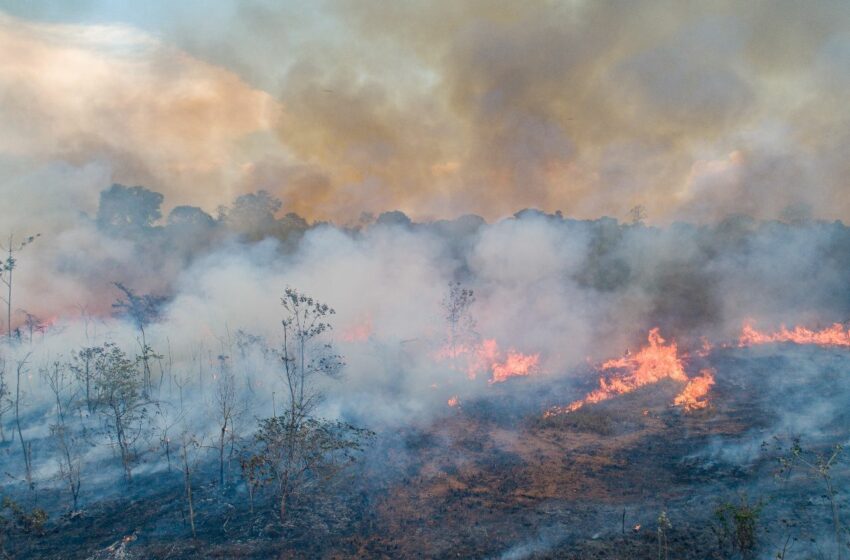  La NASA pone a prueba drones meteorológicos en la lucha contra los incendios forestales