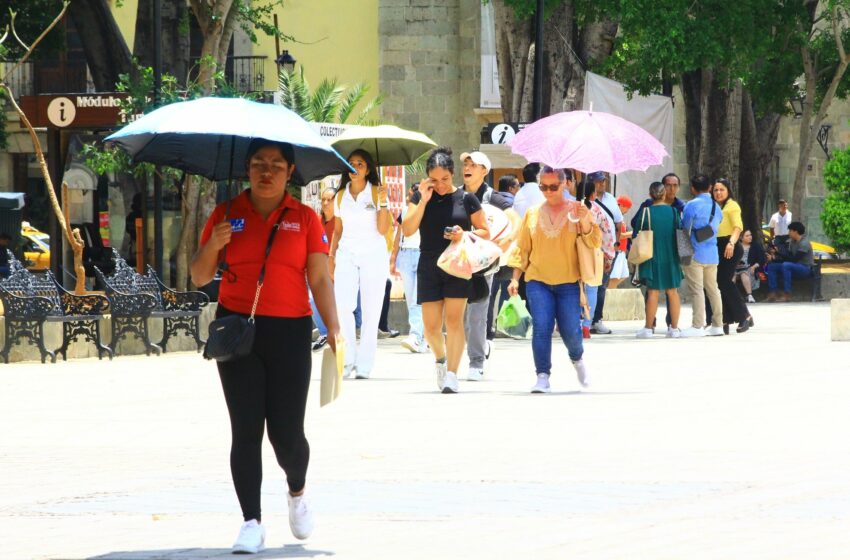  Reporta Oaxaca cuatro casos de deshidratación – NVI Noticias