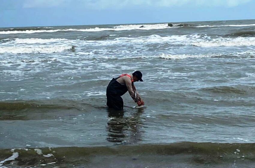  En Marcha Vigilancia Sanitaria de Playas durante la Semana Santa – Diario de Tabasco