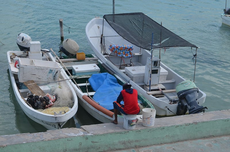  Deterioro de la pesca peninsular: todos contribuyen – La Jornada Maya