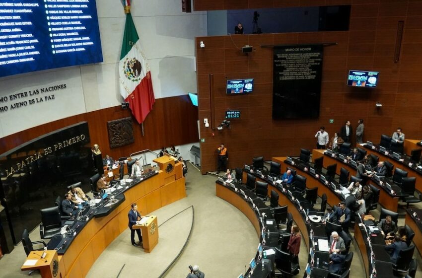  Senado lanza convocatoria para designar 56 magistraturas en material electoral en todo el país