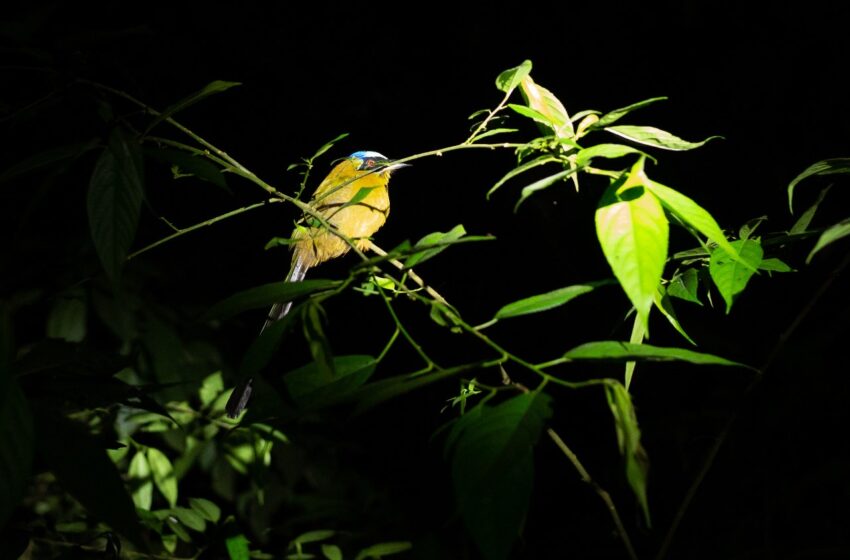  Boyacá celebra el histórico acuerdo de financiación para proteger la biodiversidad del mundo