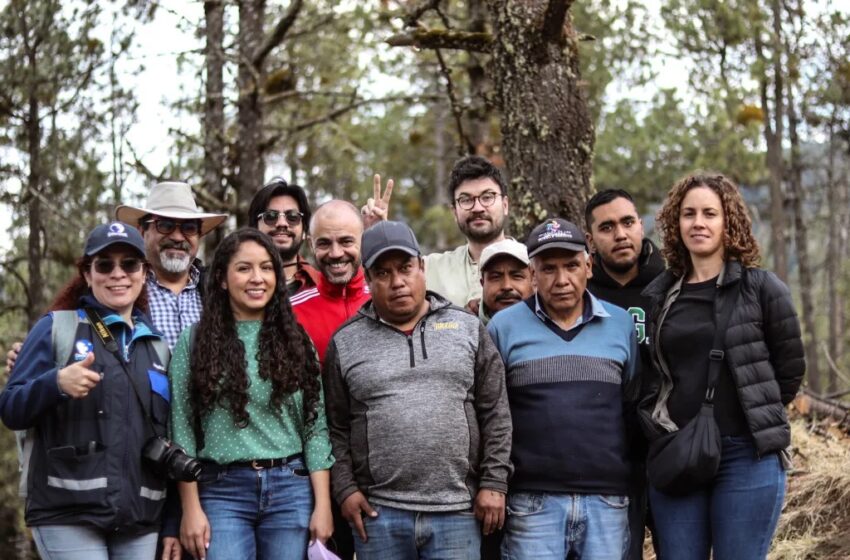  Compañía líder en el sector de alimentos colabora en la restauración forestal del Nevado de Toluca