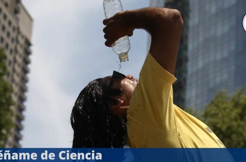  ¡Se acabo el frío! Llega la primera ola de calor 2025 y más de la mitad del país estará con …